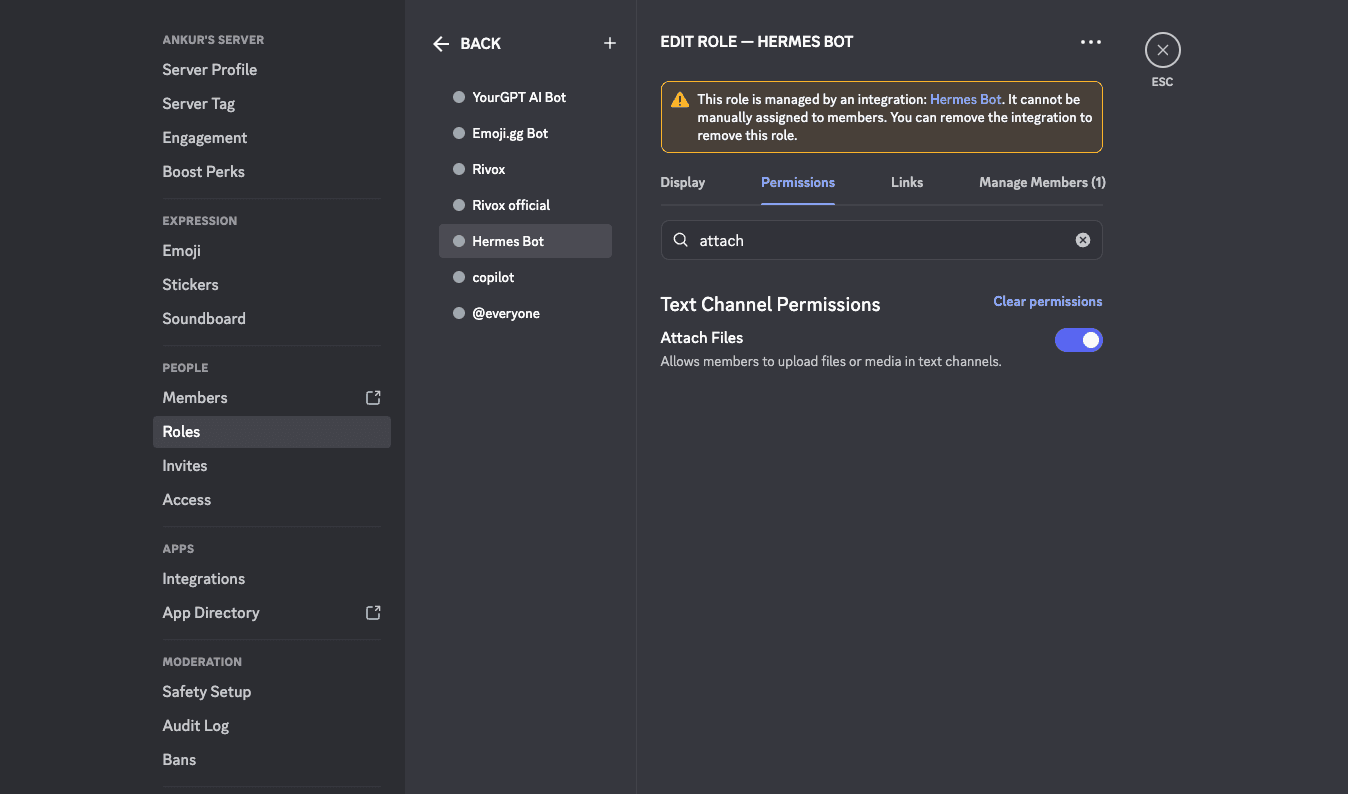The Discord role settings for the bot with the Attach Files permission enabled
