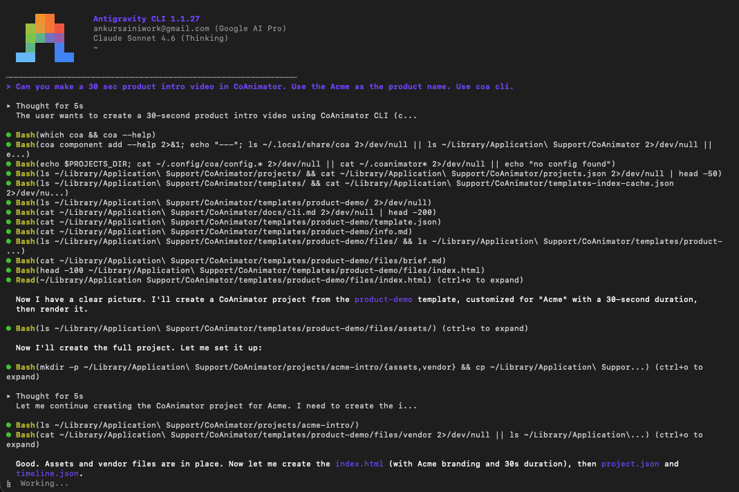 Antigravity CLI reading CoAnimator's bundled docs and product-demo template, then scaffolding a 30-second Acme intro project